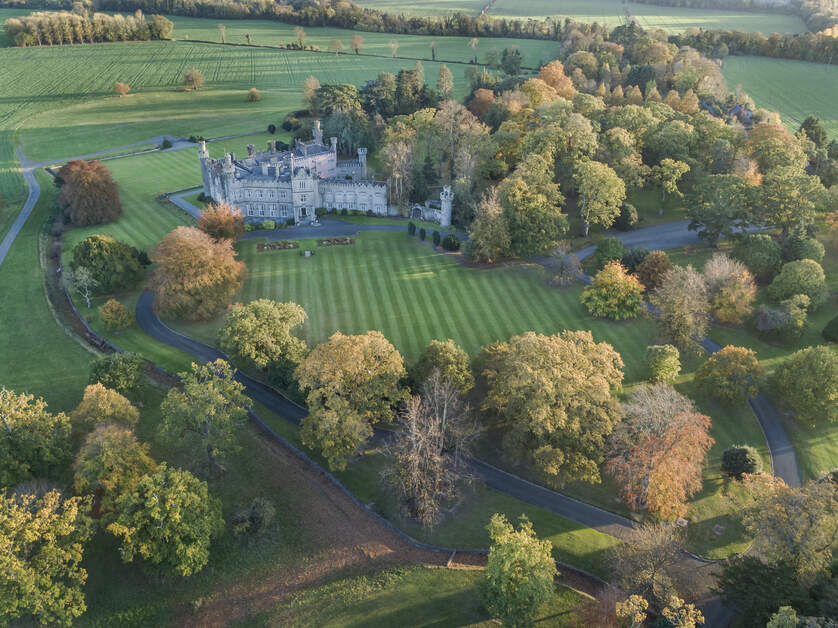 Luttrellstown Castle